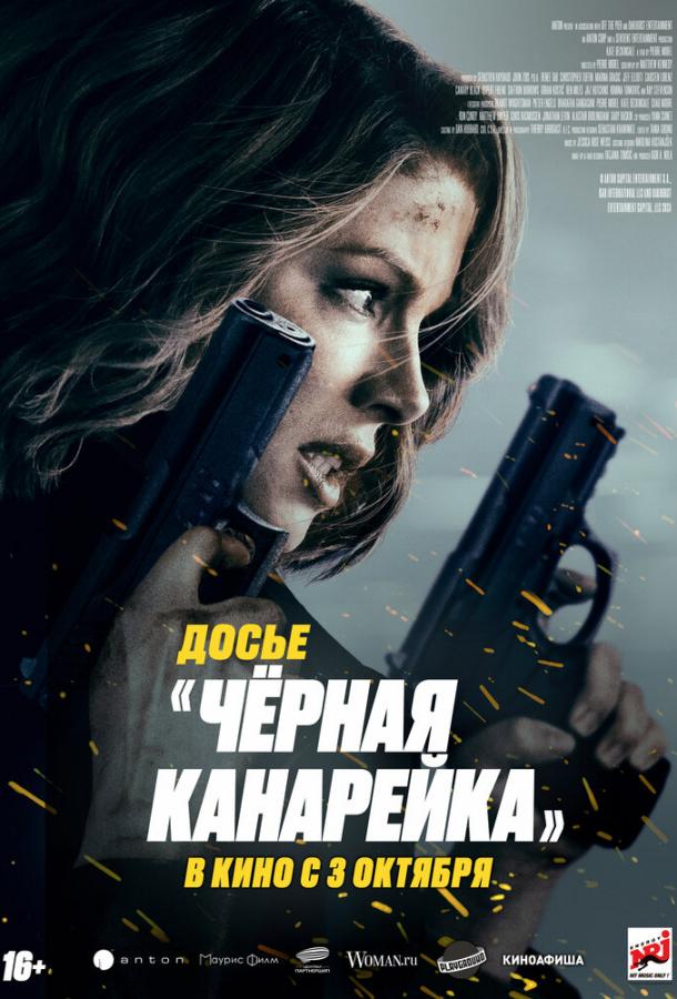 Фильм Досье «Чёрная канарейка» 2024 смотреть онлайн с Кейт Бекинсейл и Рэйем Стивенсоном